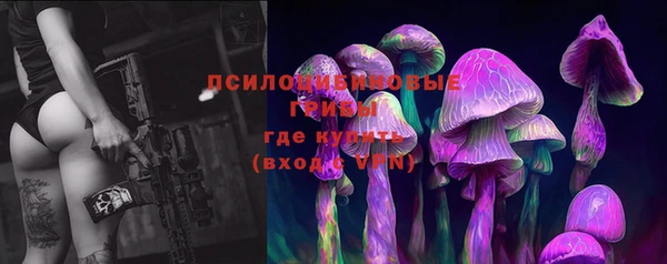 индика Алзамай
