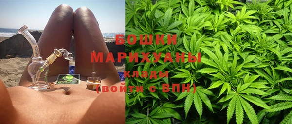 хмурый Няндома