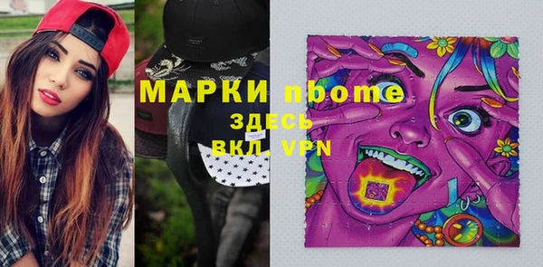 индика Алзамай