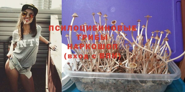 соль ск Алексеевка