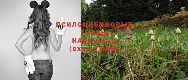 мет Алексин