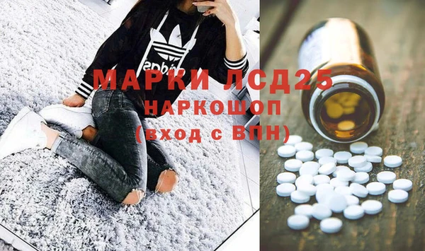 индика Алзамай