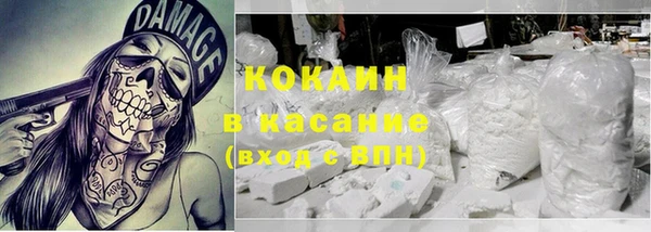 мет Алексин