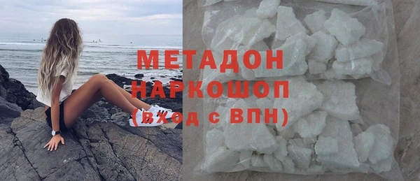 индика Алзамай
